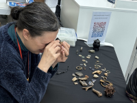 Neolithic, Bronze and Iron Age objects identified during finds day