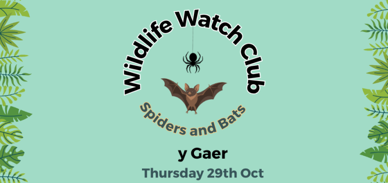 Hands-on Wildlife Adventures for Children at y Gaer